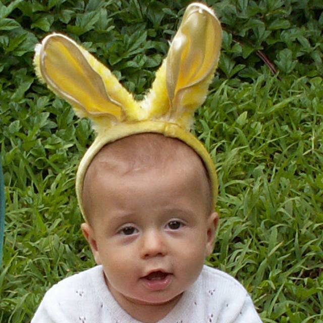 IMG_251.jpg  (64.4 Kb)