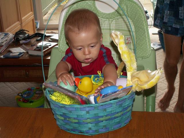 IMG_254.jpg  (48.8 Kb)