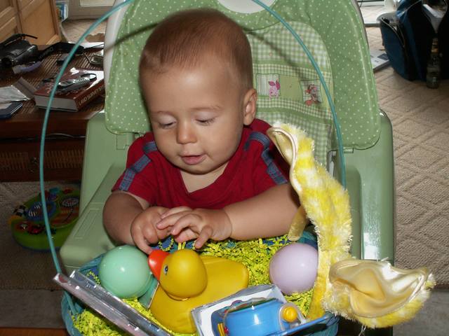 IMG_256.jpg  (48.4 Kb)