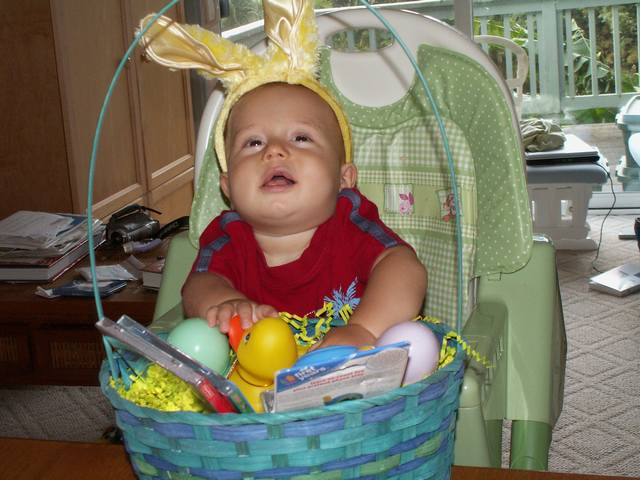 IMG_258.jpg  (48.6 Kb)