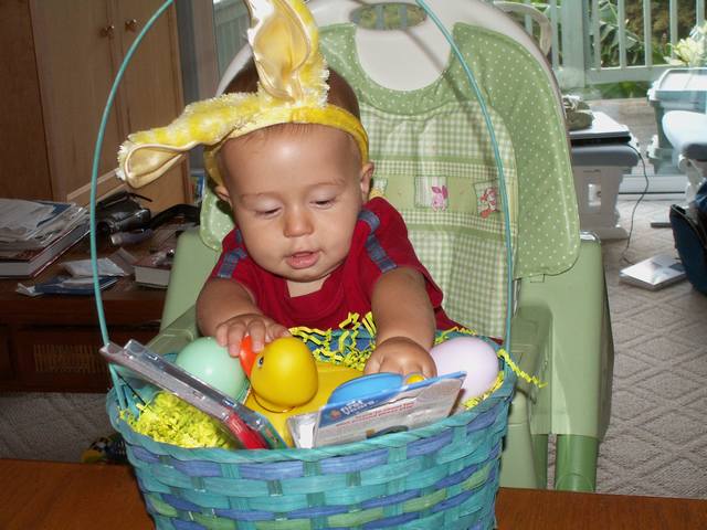 IMG_259.jpg  (49.6 Kb)