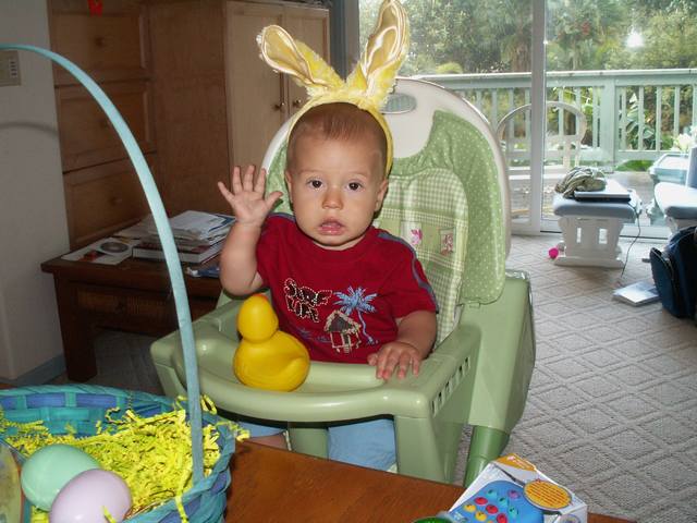 IMG_260.jpg  (49.1 Kb)