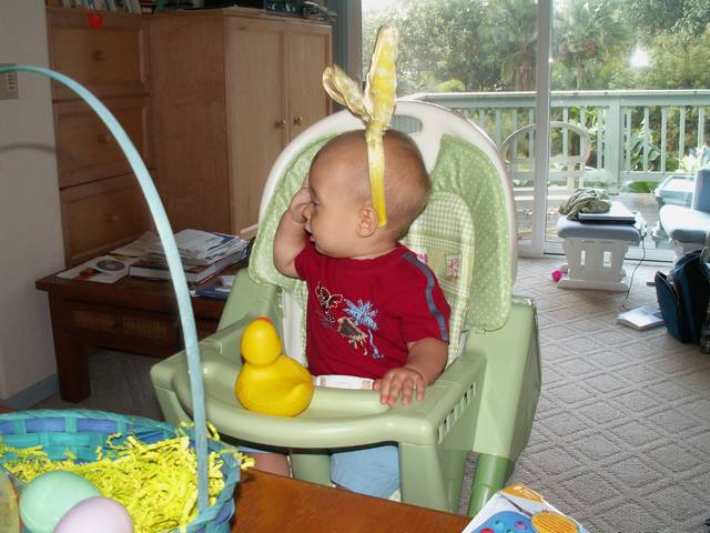 IMG_261.jpg  (49.1 Kb)