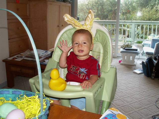 IMG_262.jpg  (50.8 Kb)