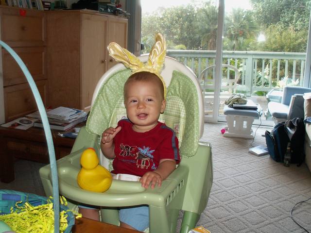 IMG_266.jpg  (51.1 Kb)