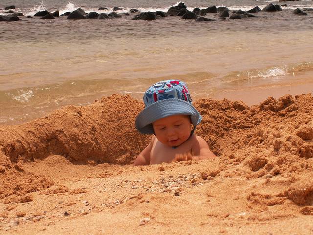 IMG_27.jpg  (65.7 Kb)