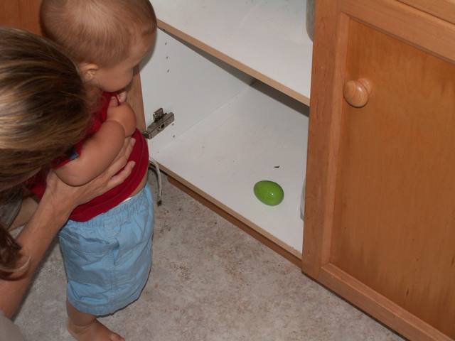 IMG_274.jpg  (29.0 Kb)