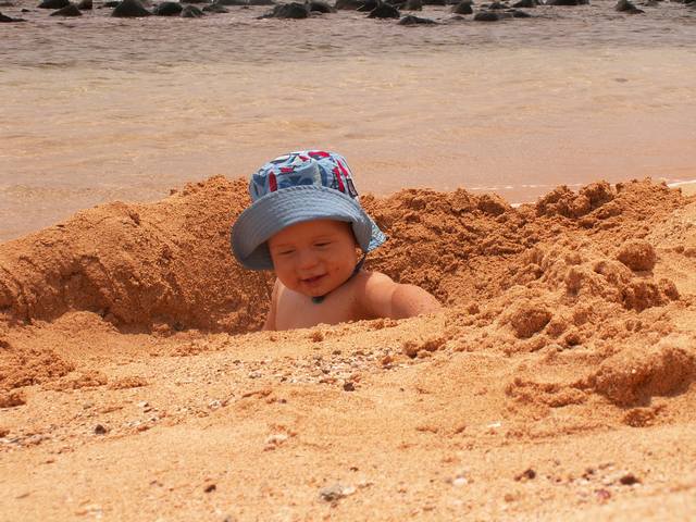 IMG_28.jpg  (62.4 Kb)