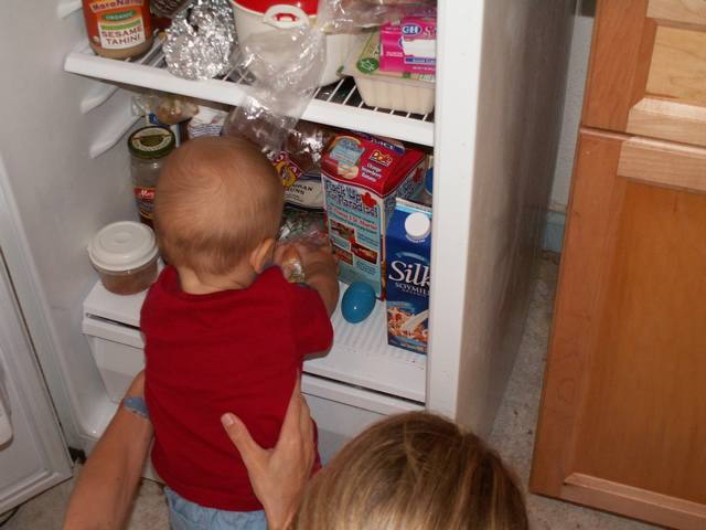 IMG_282.jpg  (36.5 Kb)