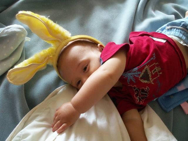 IMG_283.jpg  (38.2 Kb)