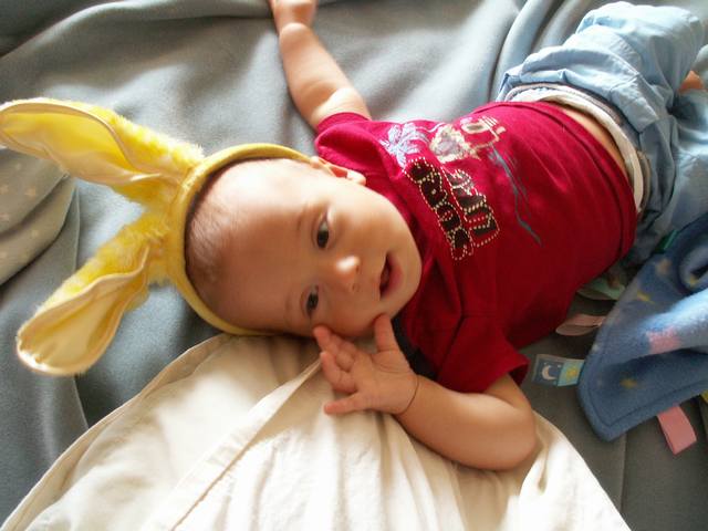 IMG_284.jpg  (39.3 Kb)