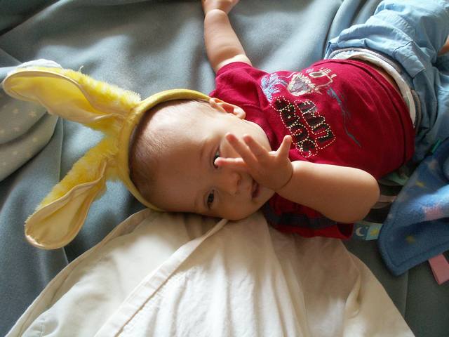 IMG_285.jpg  (40.6 Kb)