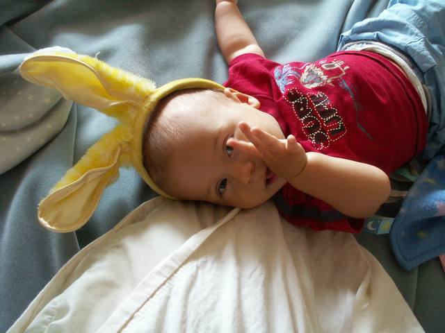 IMG_286.jpg  (39.5 Kb)