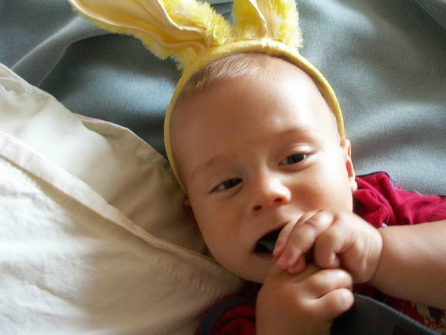 IMG_287.jpg  (30.9 Kb)