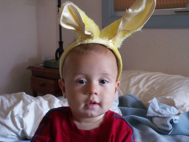 IMG_288.jpg  (30.5 Kb)