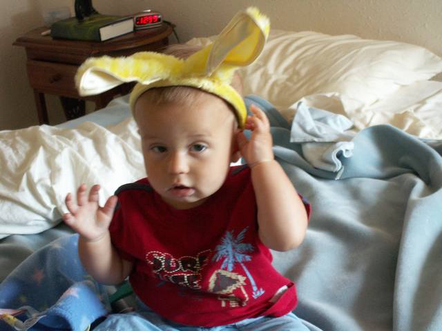 IMG_289.jpg  (37.0 Kb)