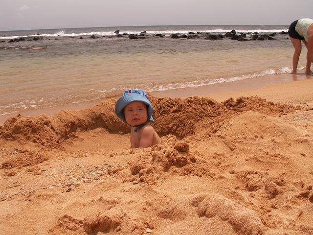 IMG_29.jpg  (60.3 Kb)