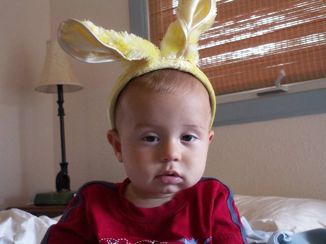 IMG_291.jpg  (33.0 Kb)