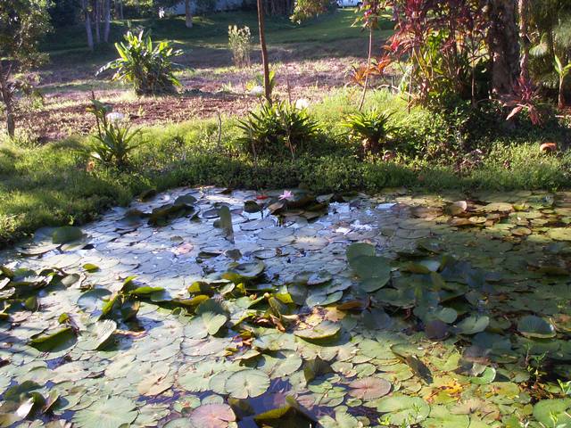 IMG_302.jpg  (87.3 Kb)