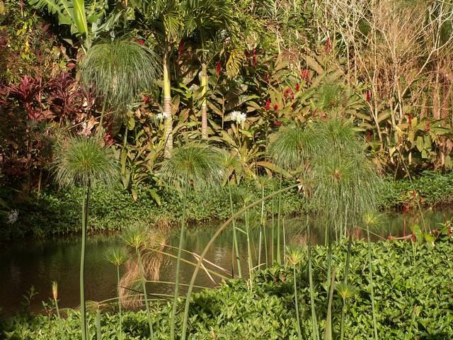 IMG_304.jpg  (101.7 Kb)