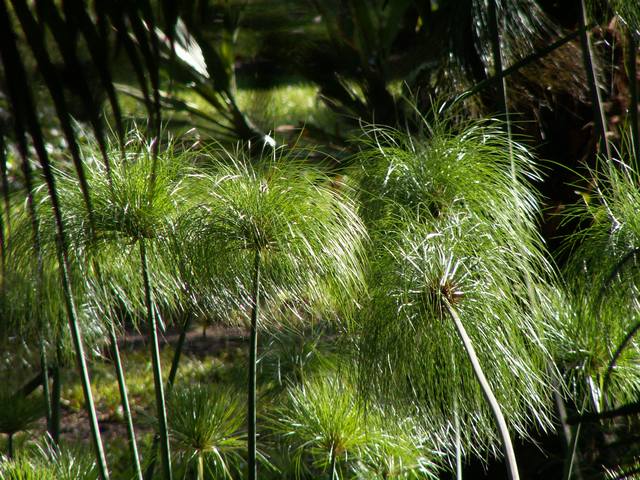 IMG_307.jpg  (81.1 Kb)