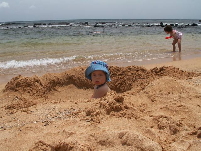 IMG_31.jpg  (59.9 Kb)