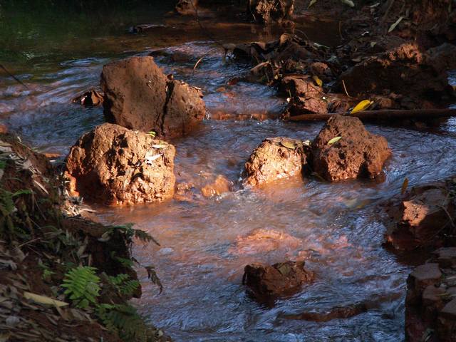 IMG_310.jpg  (61.0 Kb)