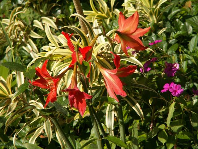 IMG_312.jpg  (69.6 Kb)