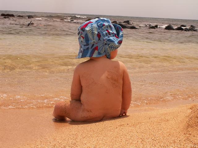 IMG_33.jpg  (48.2 Kb)