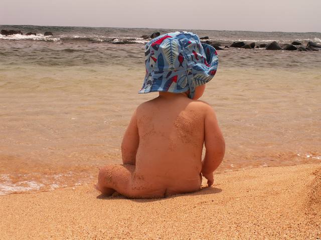 IMG_35.jpg  (46.3 Kb)