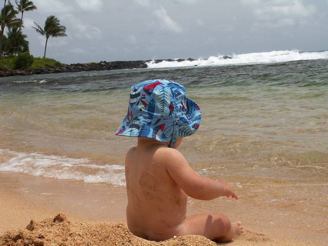 IMG_37.jpg  (42.1 Kb)