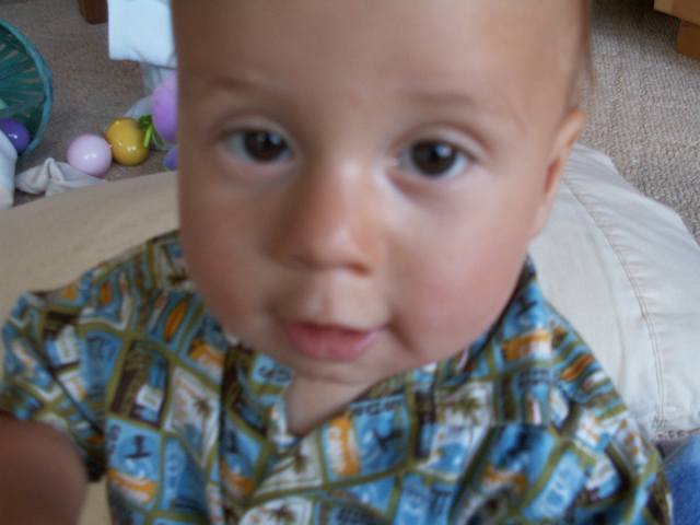 IMG_4.jpg  (29.4 Kb)