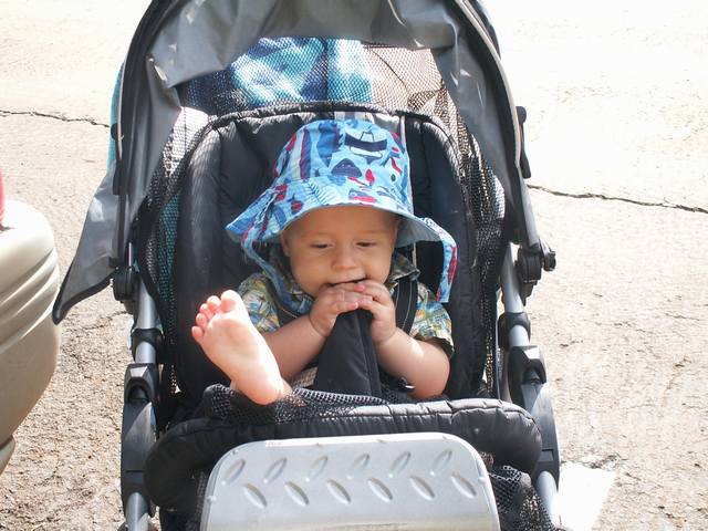 IMG_44.jpg  (55.5 Kb)