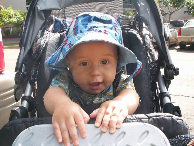 IMG_46.jpg  (55.0 Kb)