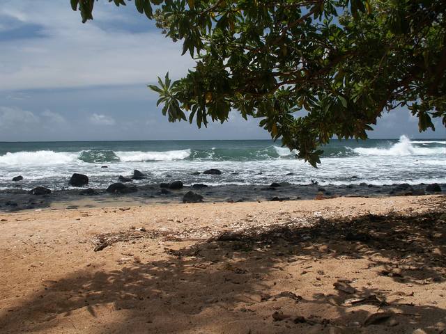 IMG_54.jpg  (64.3 Kb)