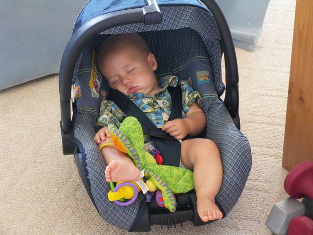 IMG_60.jpg  (49.9 Kb)