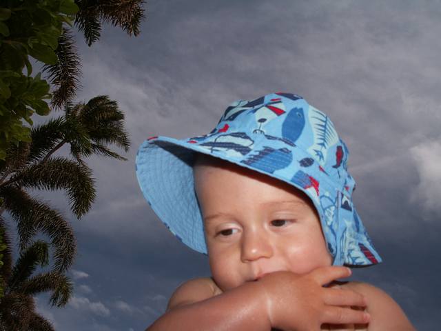 IMG_61.jpg  (33.2 Kb)