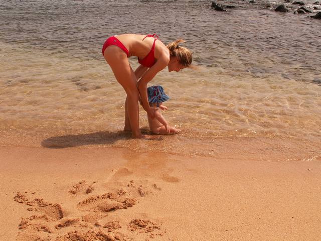 IMG_69.jpg  (54.3 Kb)