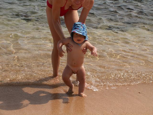 IMG_73.jpg  (52.9 Kb)