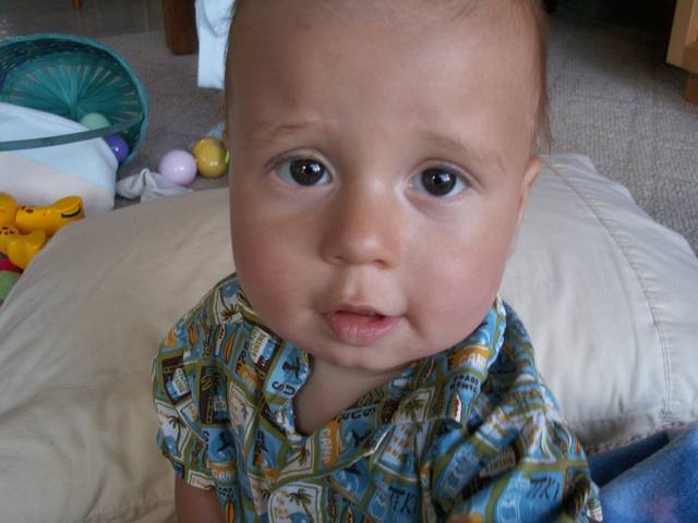 IMG_8.jpg  (34.1 Kb)