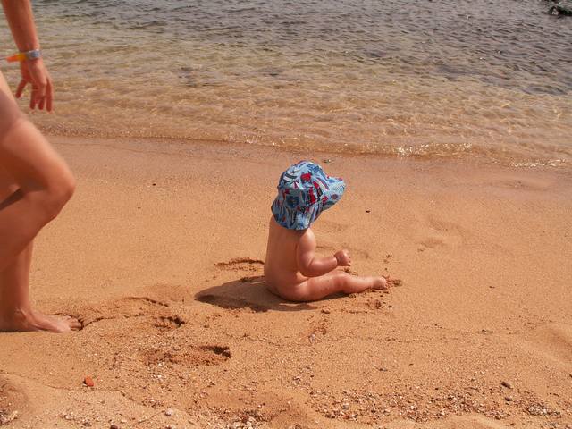 IMG_84.jpg  (56.3 Kb)