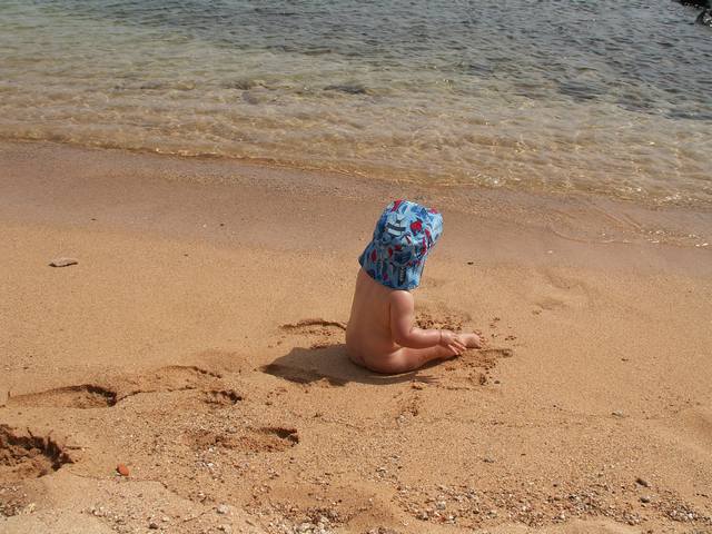 IMG_86.jpg  (56.3 Kb)