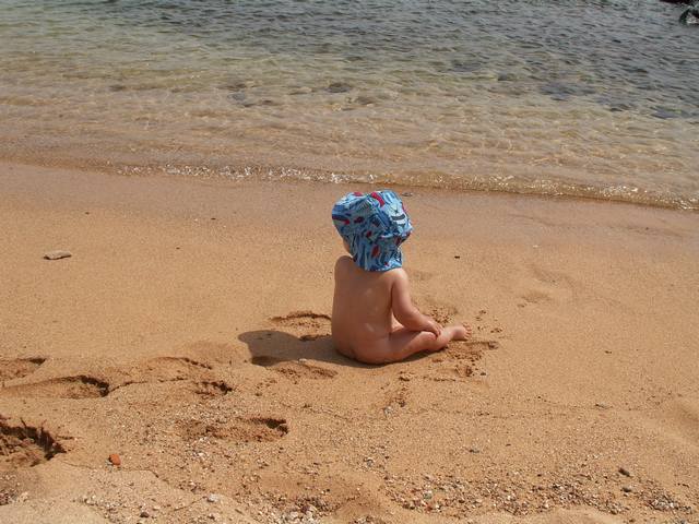 IMG_87.jpg  (56.1 Kb)