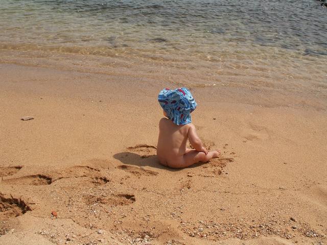 IMG_88.jpg  (56.1 Kb)