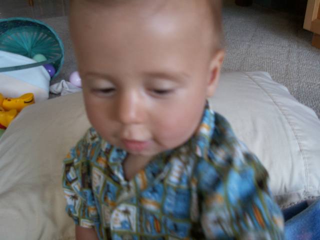 IMG_9.jpg  (27.2 Kb)