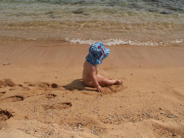 IMG_90.jpg  (56.1 Kb)