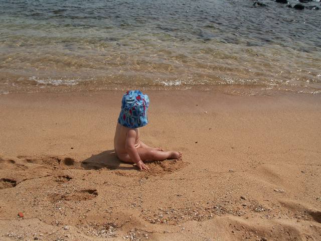 IMG_91.jpg  (56.5 Kb)