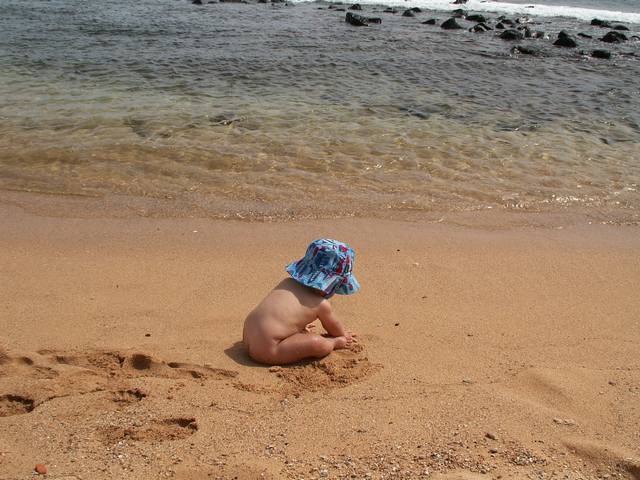 IMG_93.jpg  (56.0 Kb)