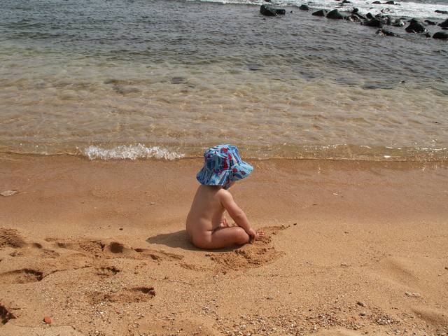 IMG_95.jpg  (57.0 Kb)