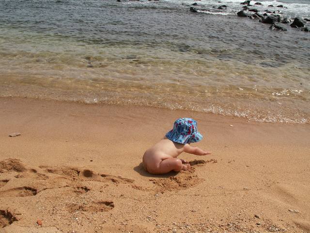 IMG_96.jpg  (57.5 Kb)